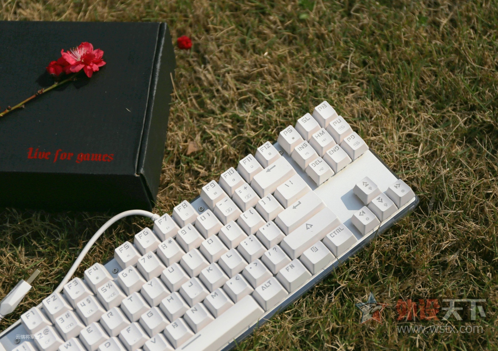 ŲʺᡪħK87S RGB羺е[ԭ]