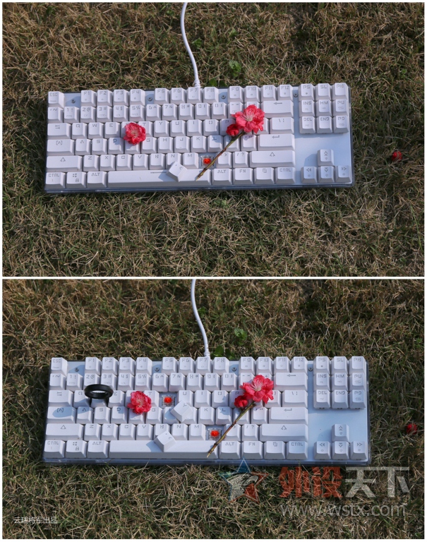 ŲʺᡪħK87S RGB羺е[ԭ]
