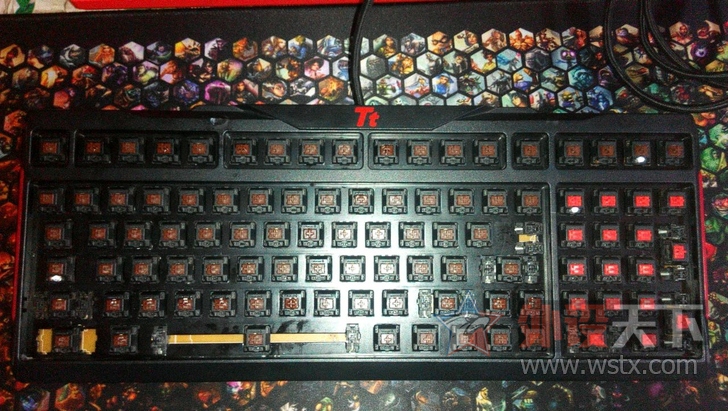 ��ɽ����TT96��ӣ�Ҳ�+ӣ�Һ���