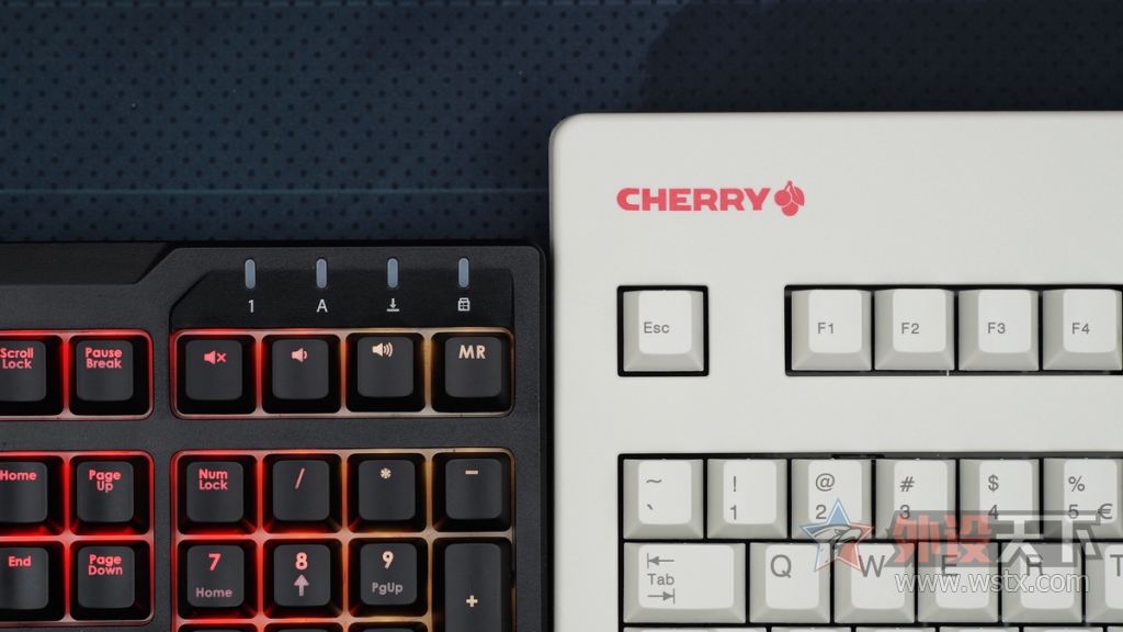 ƬҪԭζ ҪԭŹζ  CHERRY G80-3494ڲ