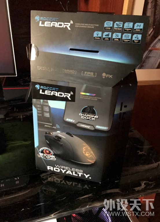  roccat  leadr  ˫ģ콢 0ӳ~~~~~