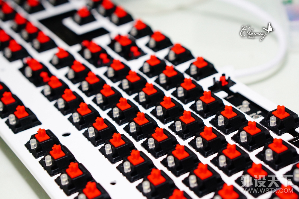 AKKO & DUCKY ZERO 3108PBT е̿ͱĵƽ̳