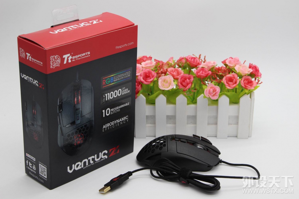 οշTt eSPORTSҹϮZ