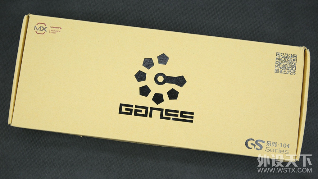 ganss gs104 ̼