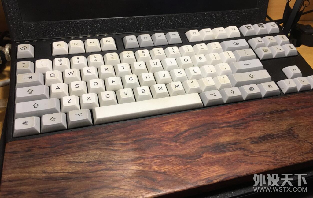 [����][����] Leopold Fc750r + �˲� pbt dsa ������