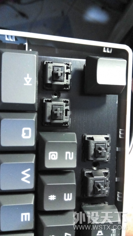 cherry  1.0TKL ޱ