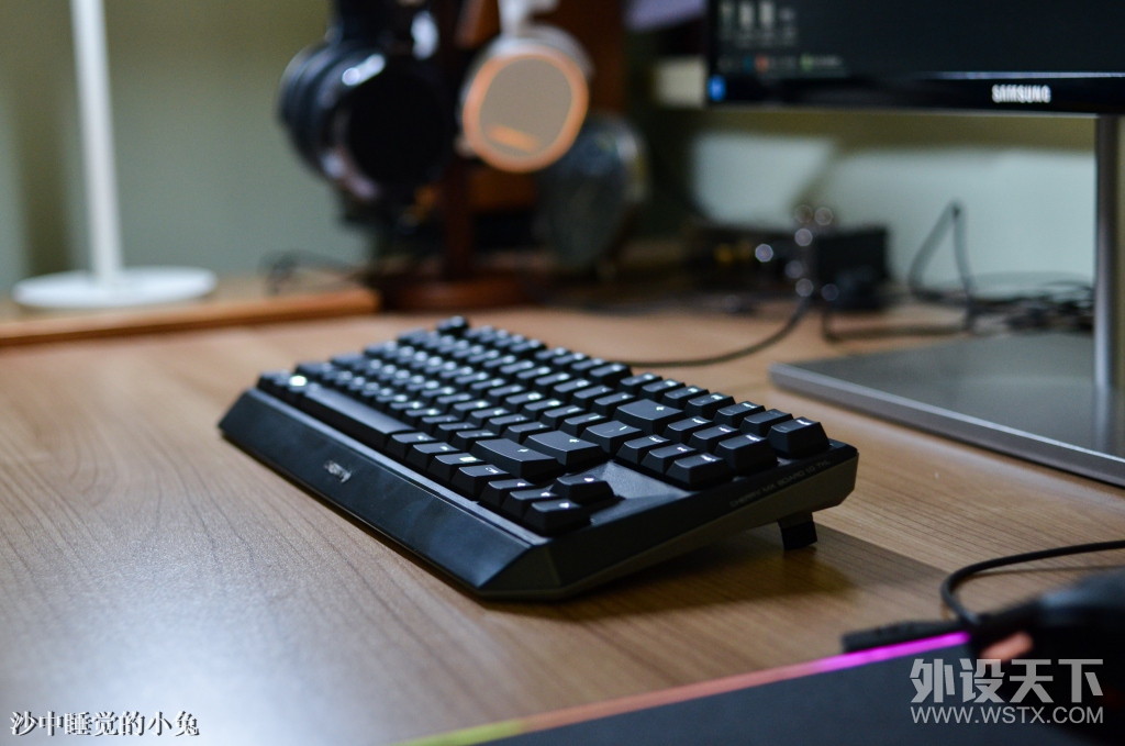 �ڴ��Ѿã�������Ը��ӣ��CHERRY MX1.0 TKL������е�������� CHERRY������ع�