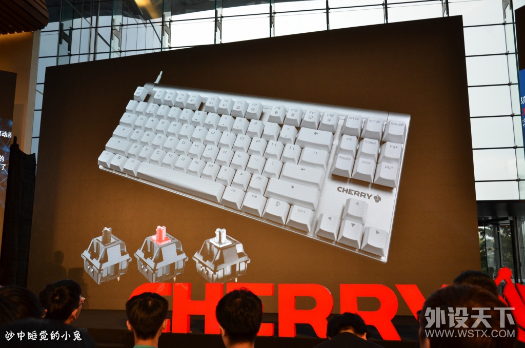 �ڴ��Ѿã�������Ը��ӣ��CHERRY MX1.0 TKL������е�������� CHERRY������ع�