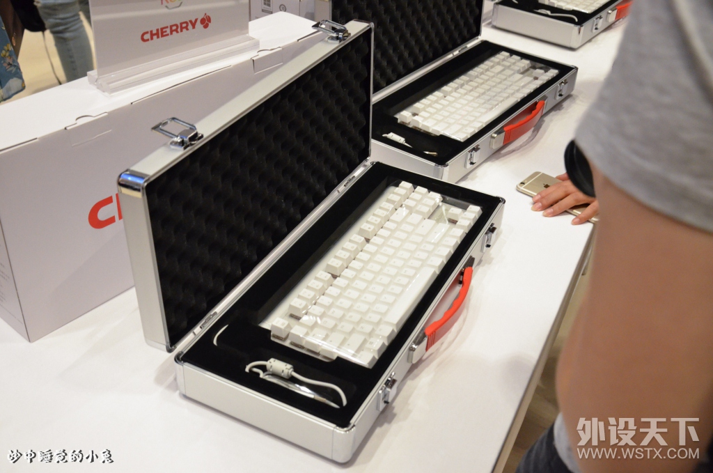 �ڴ��Ѿã�������Ը��ӣ��CHERRY MX1.0 TKL������е�������� CHERRY������ع�