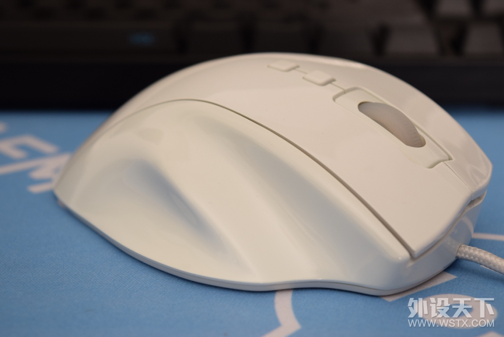�����ڶ���ֽ�İ�����QPAD OM -75�������飺