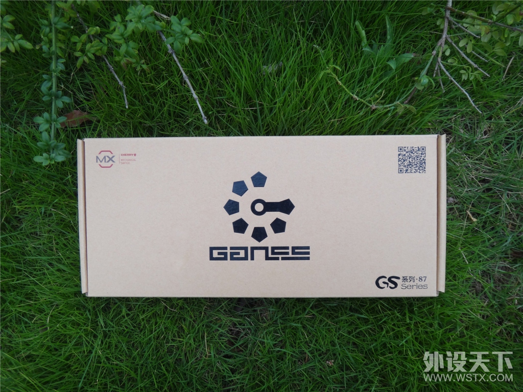 տصʵѡ  GANSS˹GS87̰е̼