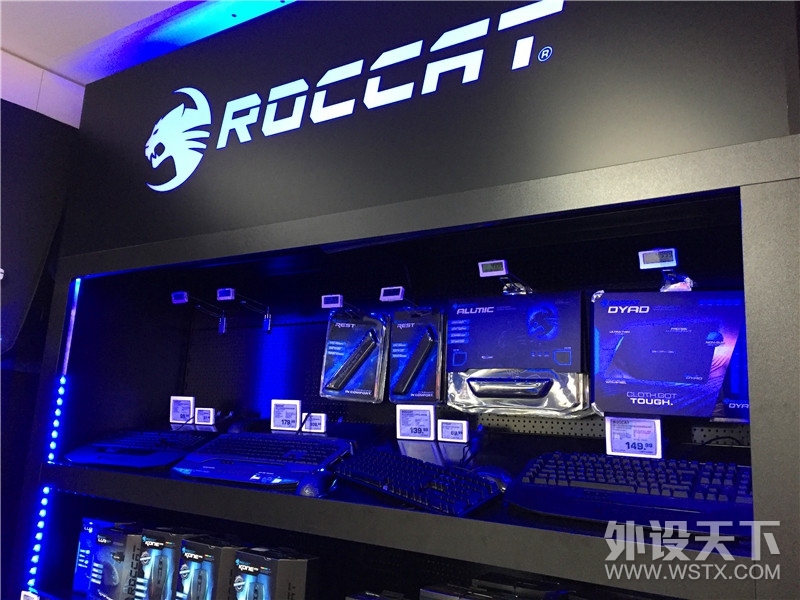 нѸ£ÿμǣµ¹С¹ROCCAT ʮ֮