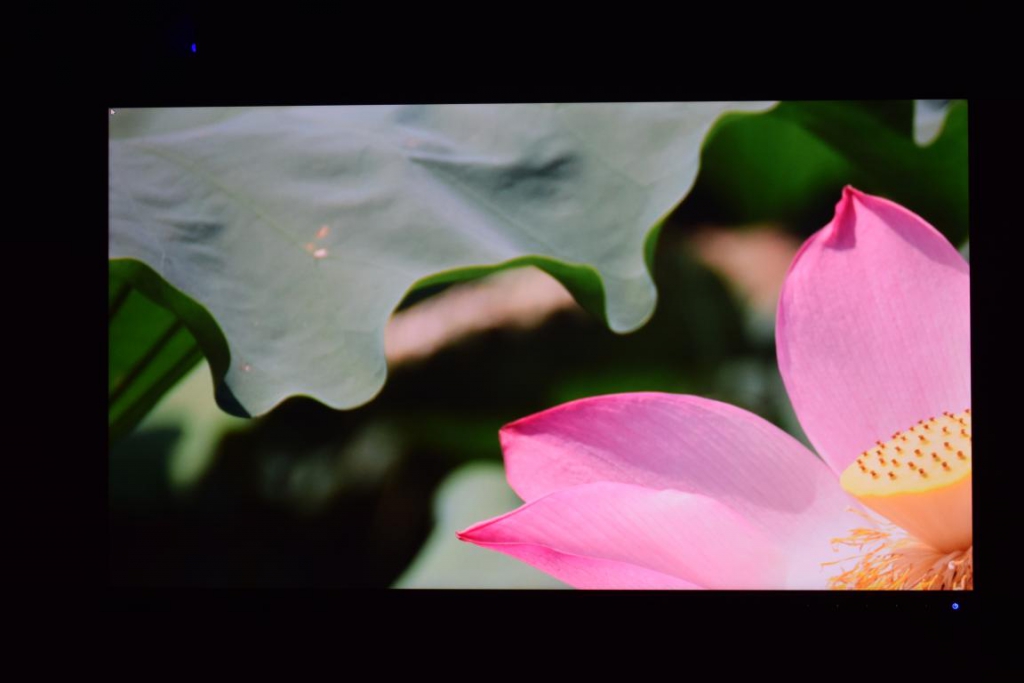 һ˵Լ۱-СԪVP2785-4Kרҵʾ