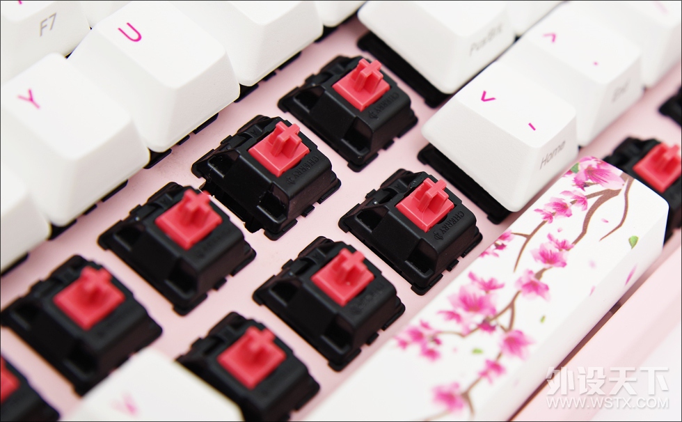 Сѧϵ֮Varmilo "ӣ" MIYA PRO