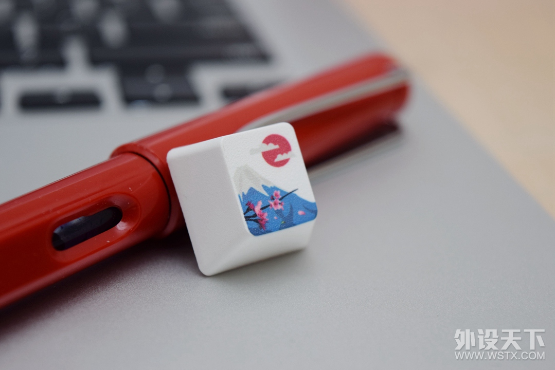 ��װ�͸���ֽ�ķۺ�ɫ��������� VA87 ӣ ��е����