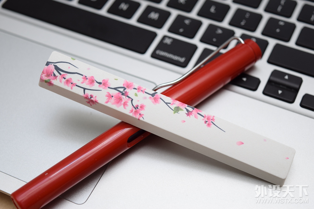 ��װ�͸���ֽ�ķۺ�ɫ��������� VA87 ӣ ��е����