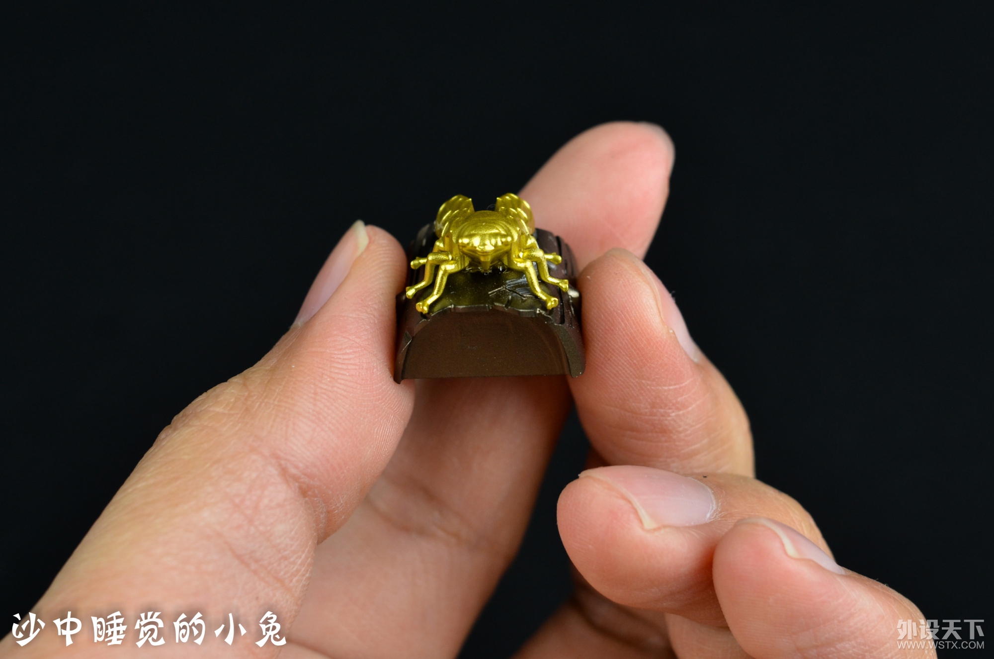 ������~������~ ZOMOèצ�����ñ����ɹһ��~