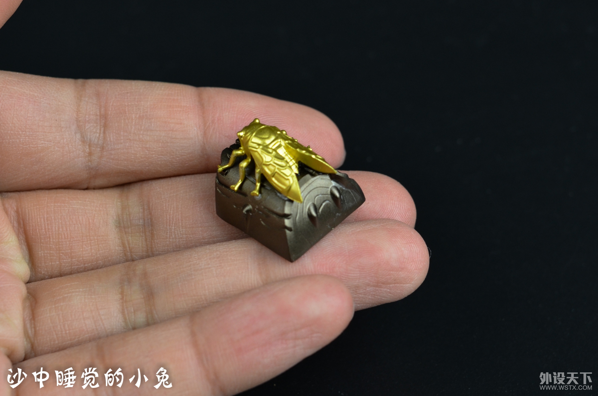 ������~������~ ZOMOèצ�����ñ����ɹһ��~