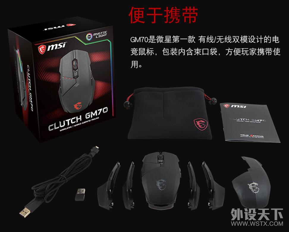 MSI1.jpg
