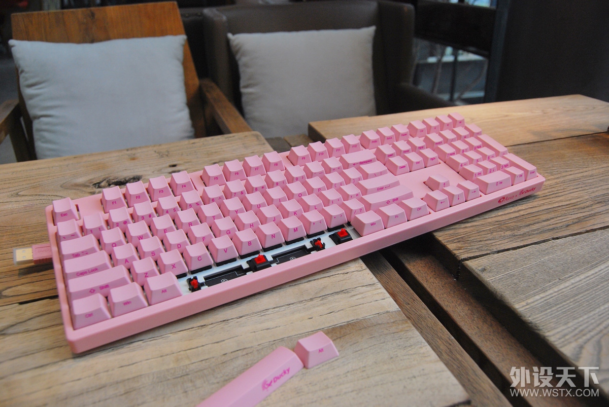 HOLDסȫɫ𣿡AKKO  Ducky 3108 ˽ڻе̼