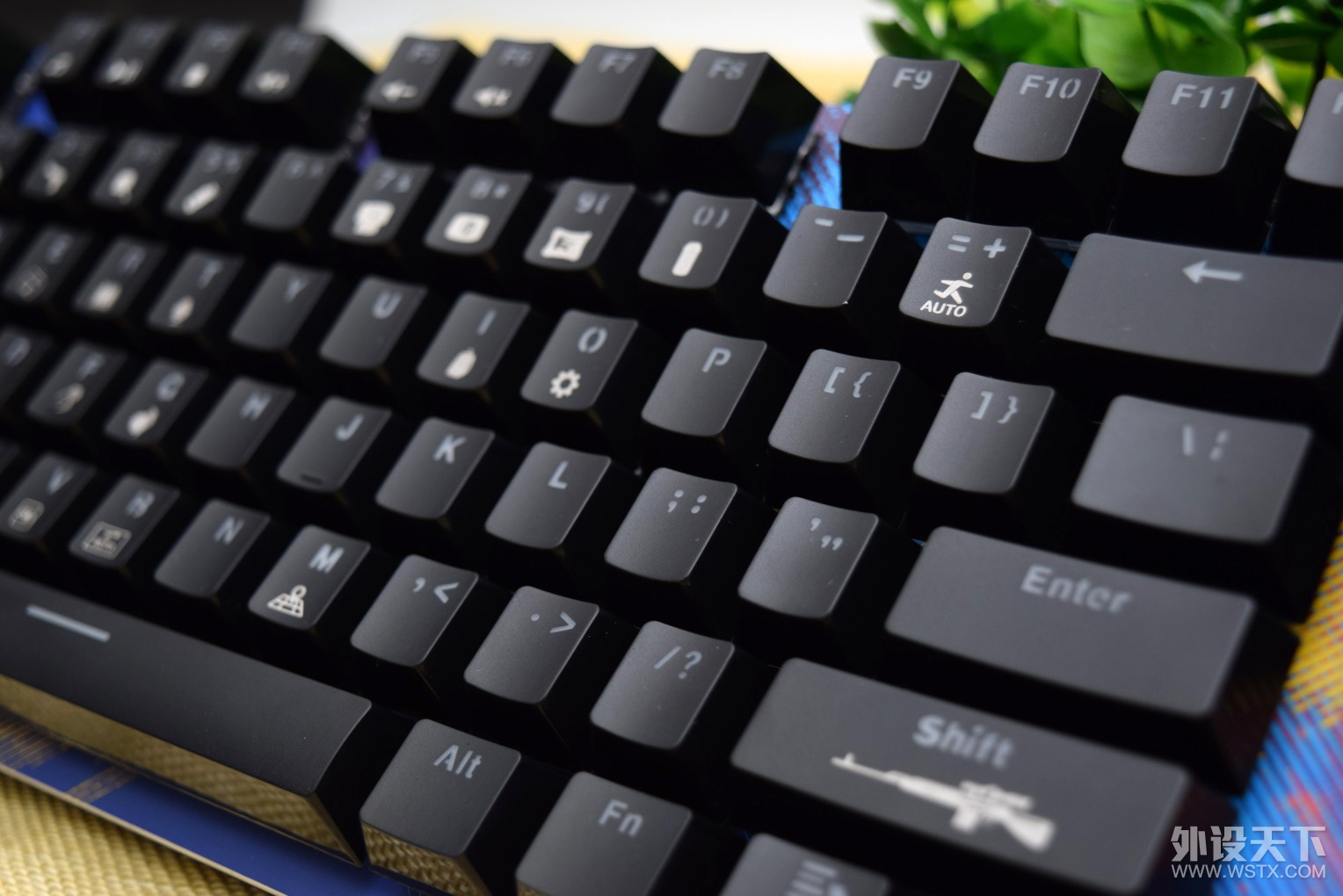ɼôƯˣ  ߼