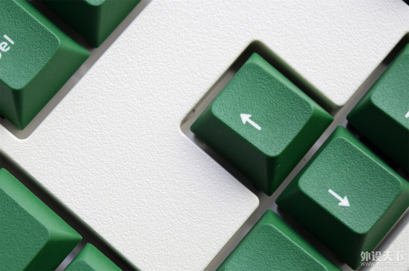 Ůѳ͵͵  leopold FC900RĲ    ​