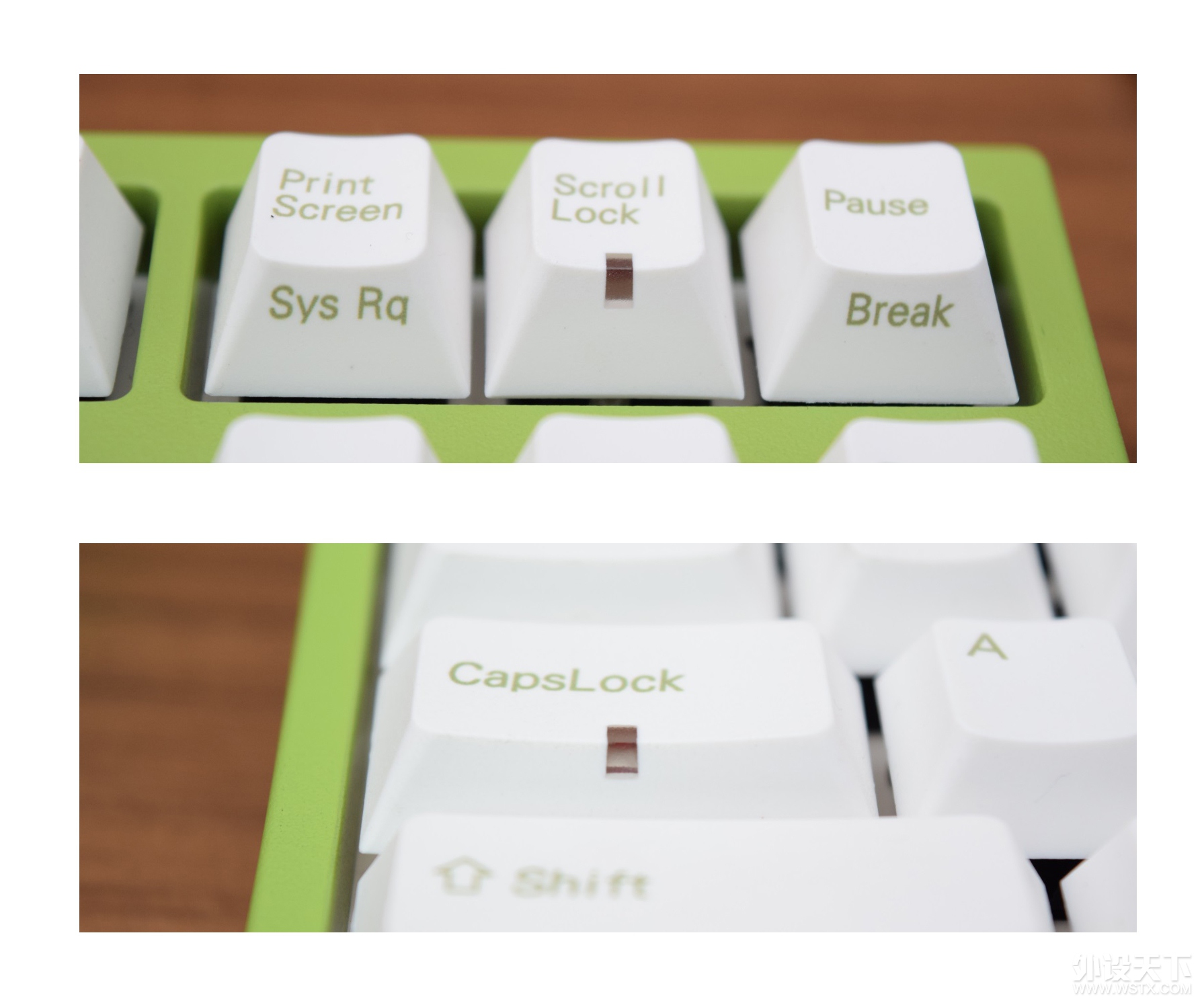  leopold ɫ޶봺޶