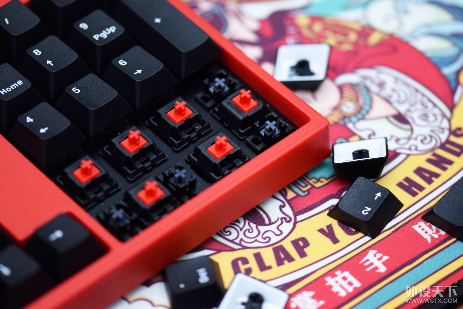 红情绿意 leopold 赤色限定与春季限定