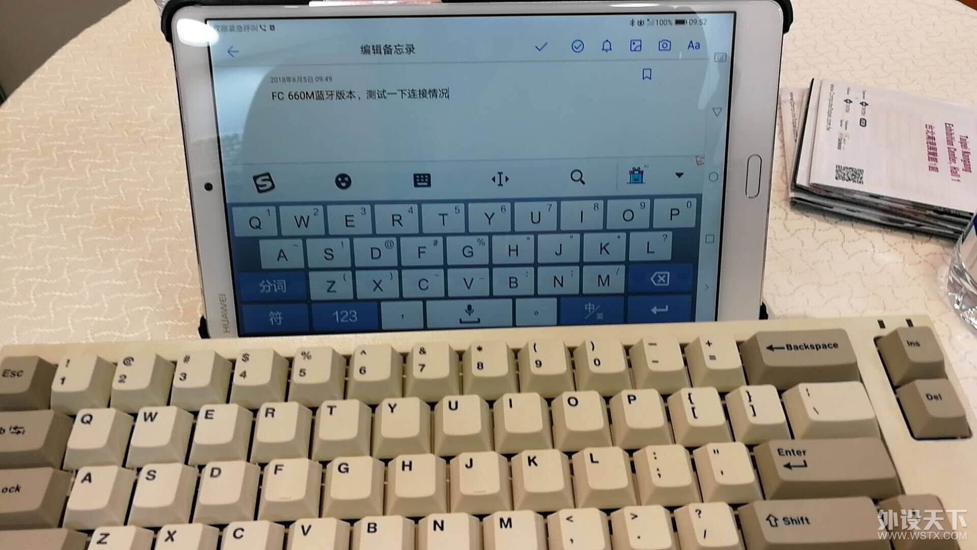 红情绿意 leopold 赤色限定与春季限定