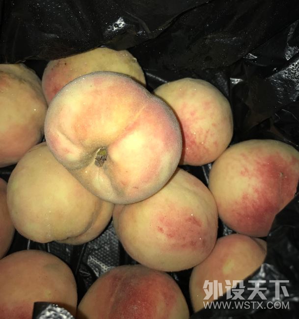 ��618ɹ��������Ҫ��Ϊ��ǿɨ���������˰�����