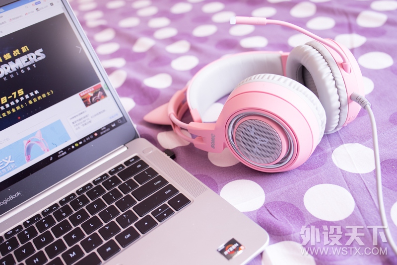 ֱ˶G951 PINKϷֳ̽