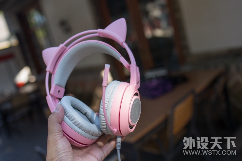 ֱ˶G951 PINKϷֳ̽