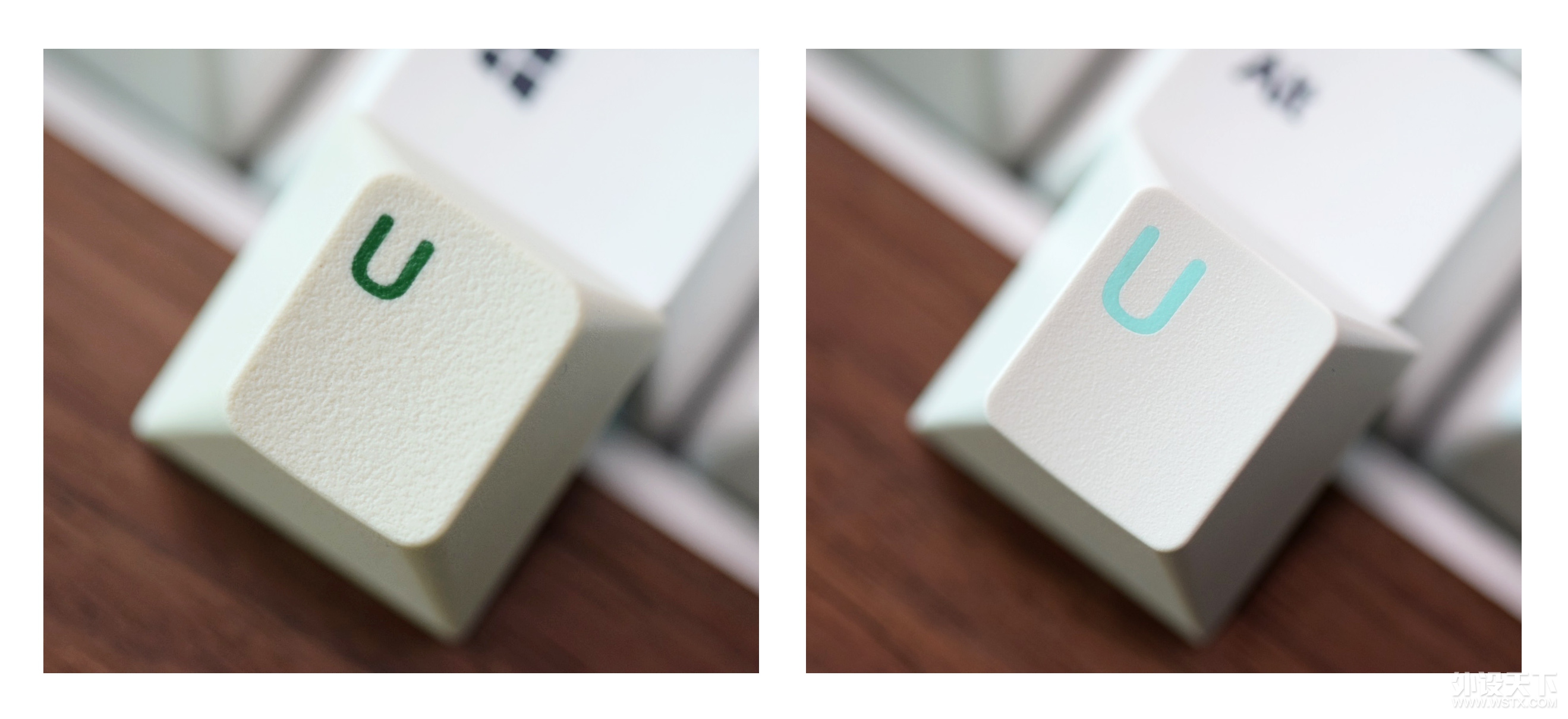 һ ñĶԱ leopold PD VS JTK Aqua