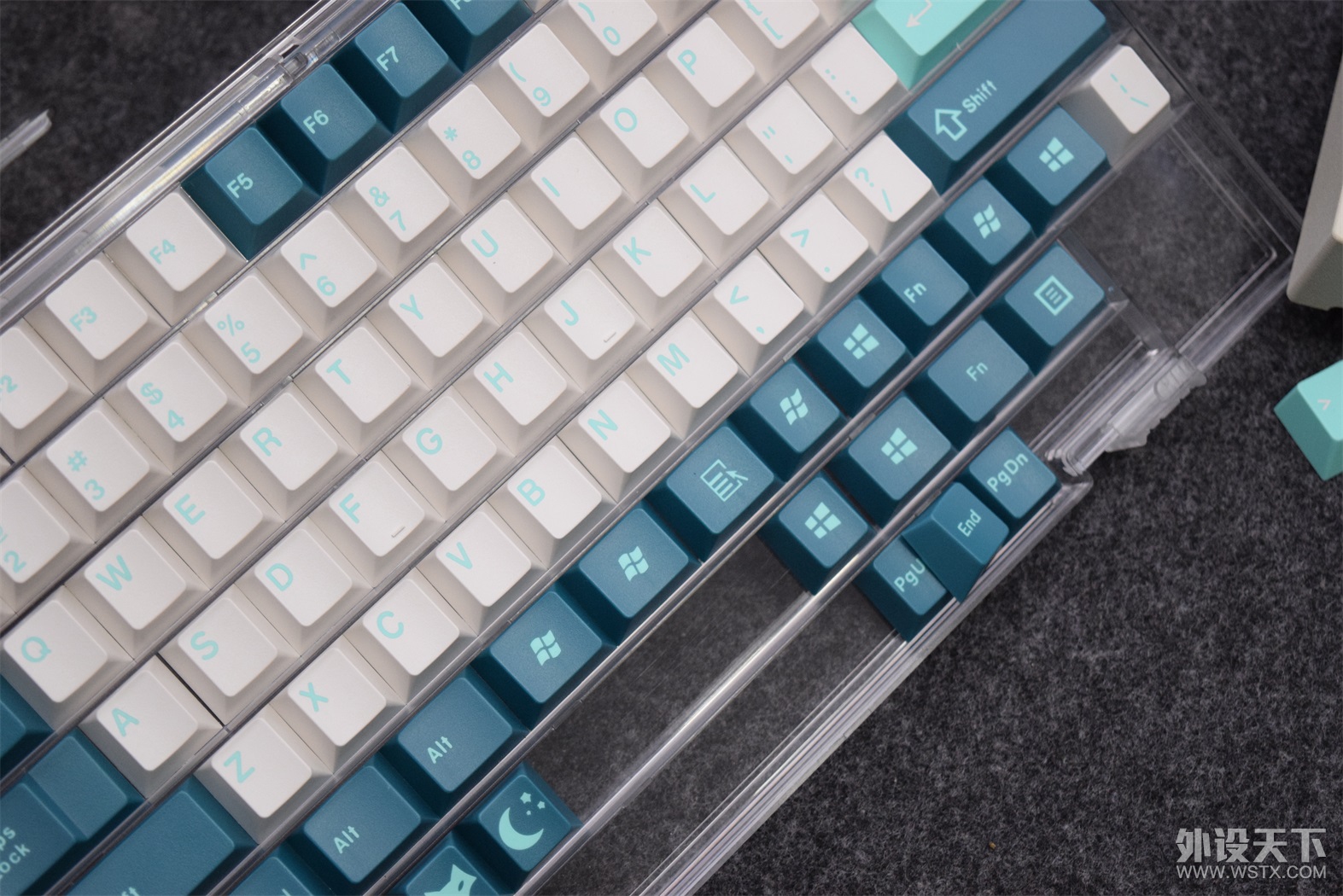 һ ñĶԱ leopold PD VS JTK Aqua