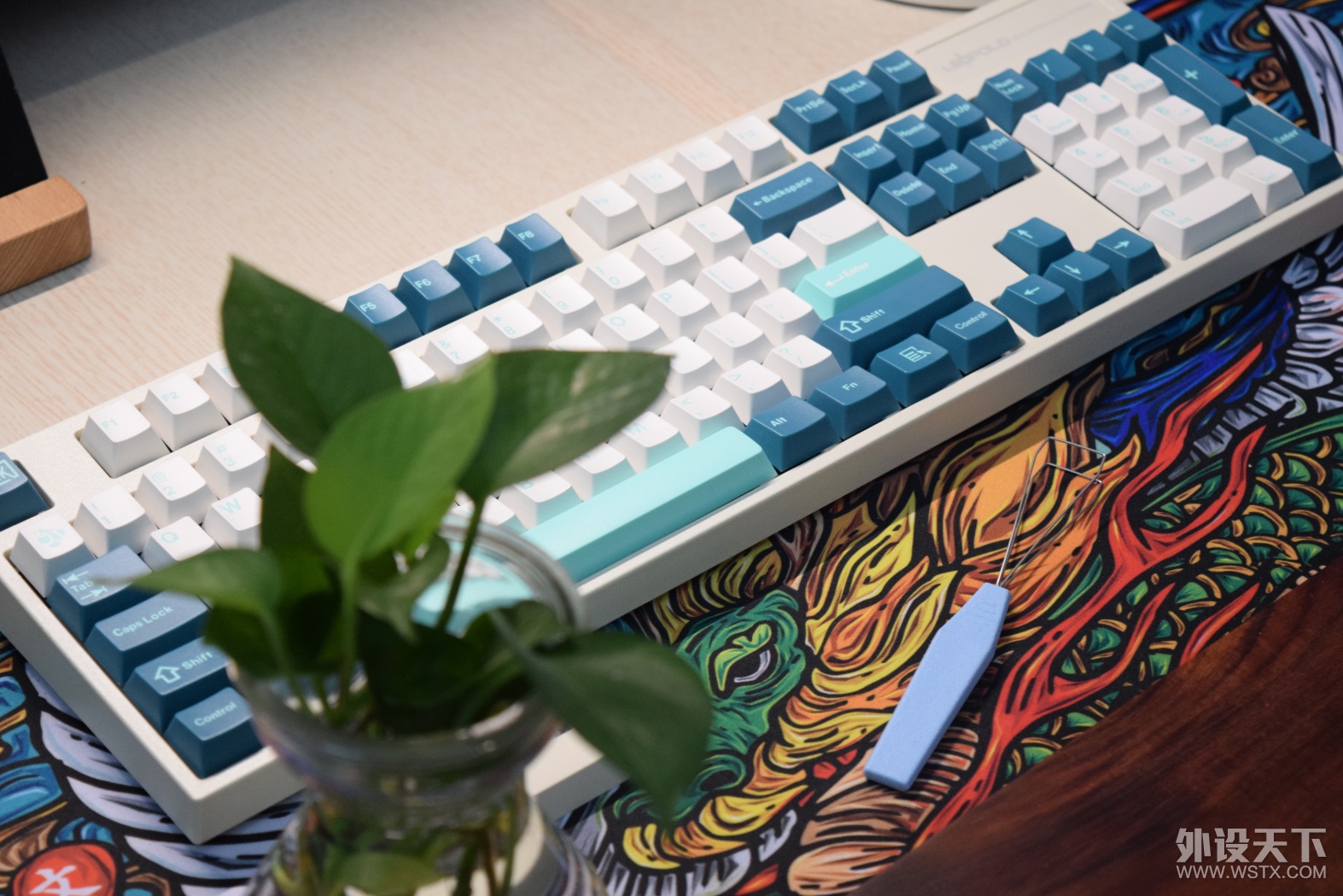 һ ñĶԱ leopold PD VS JTK Aqua