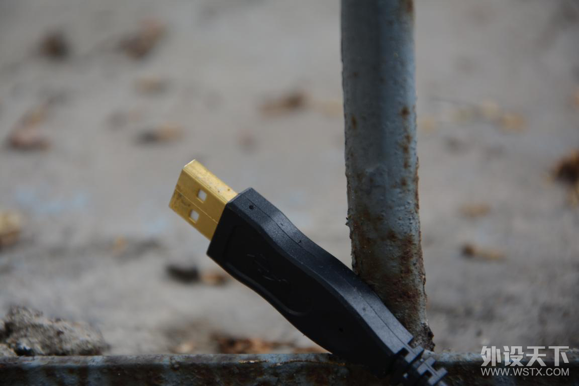 ���������Գ�һ�ɣ����׻�ս֮����е����С��