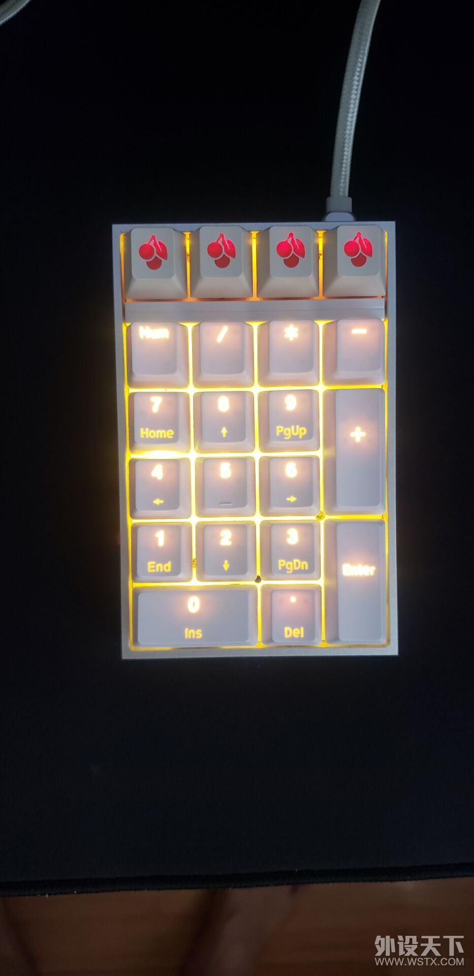 ganss alt71ģ�黯������̿�������