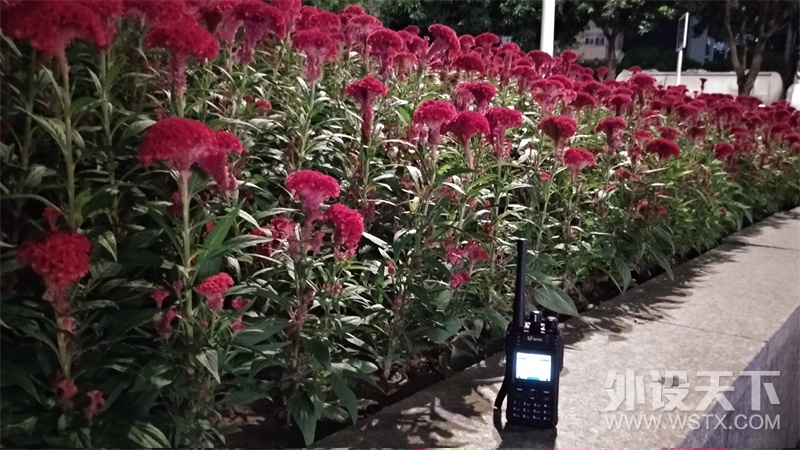 ����ɭ��ͽ��---����DMR-BF-TD511ʵ������ƪ