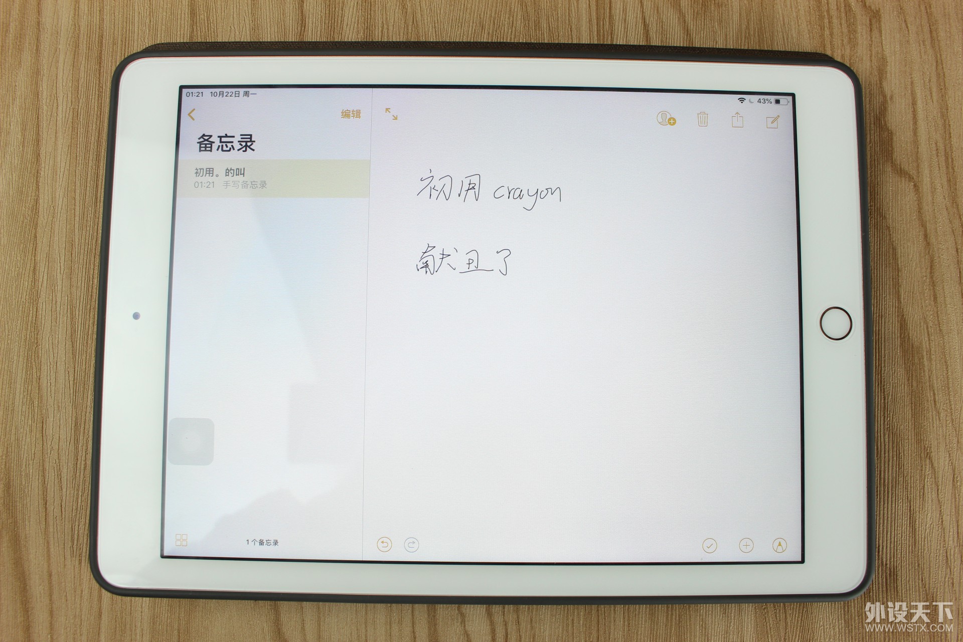 iPad�ô���޼�Crayon������