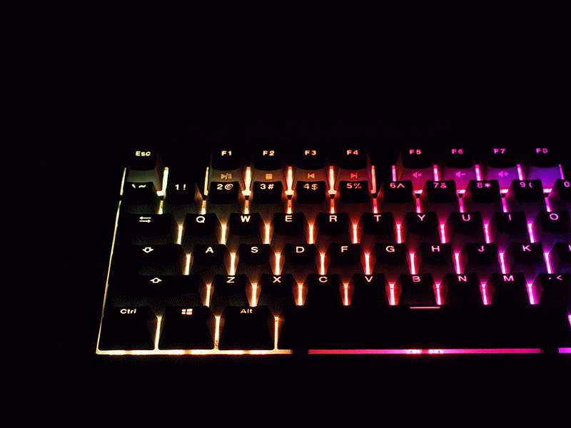 ָ-٤K310 RGBе