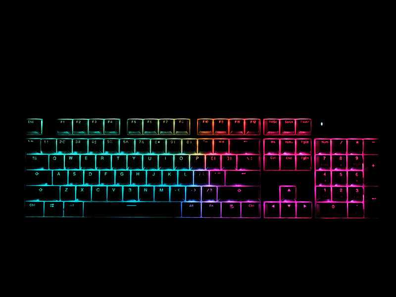 ָ-٤K310 RGBе