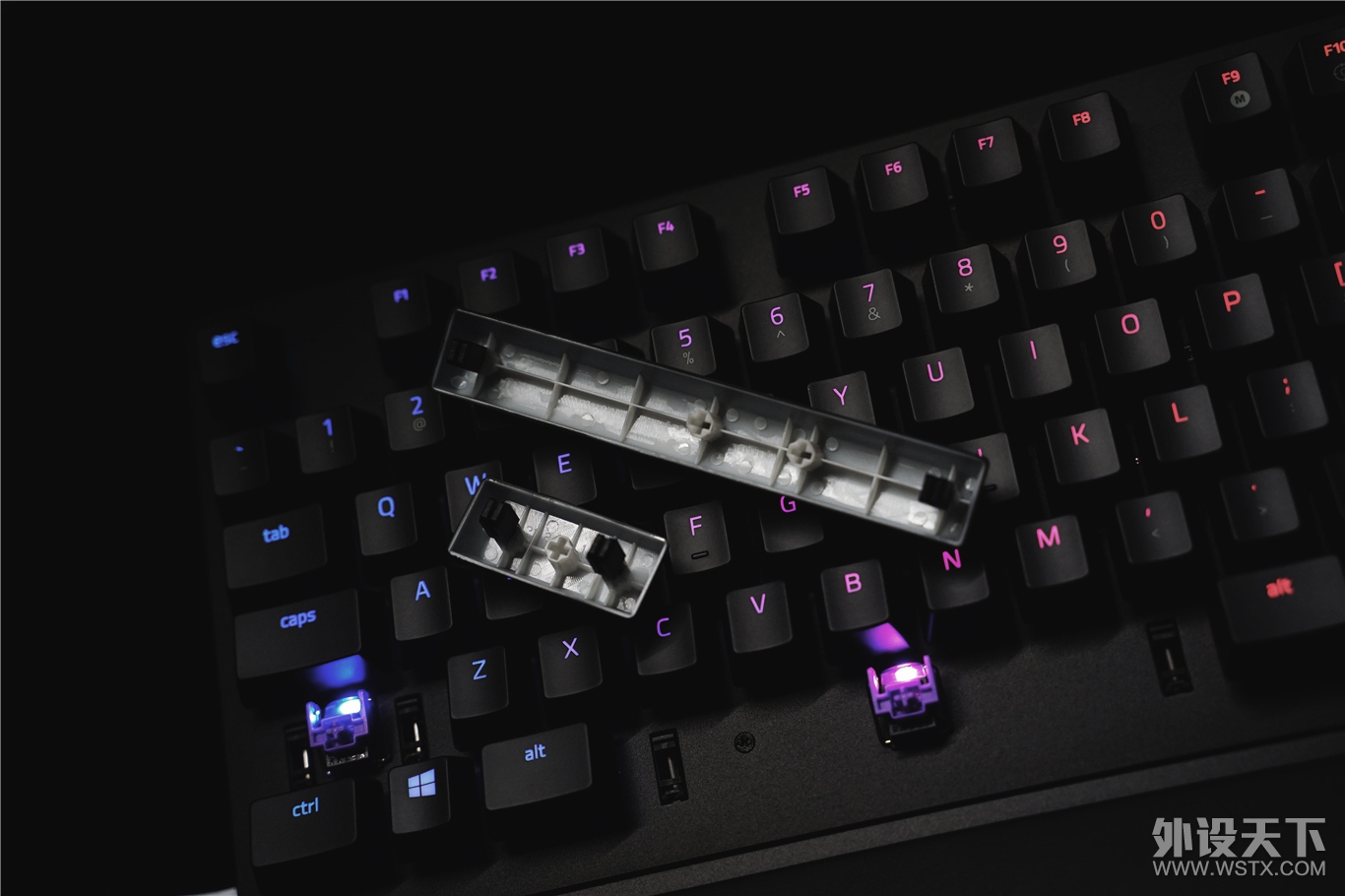ϲᡪHuntsman EliteԻ뾫Ӣ