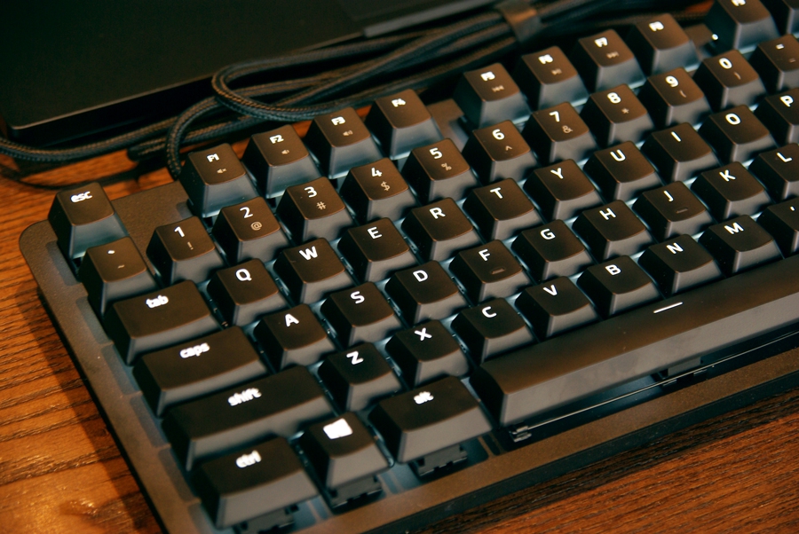 �ᱡ���У��칫��Ϸ˫��汸�����ڹѸ�֩����װ���������