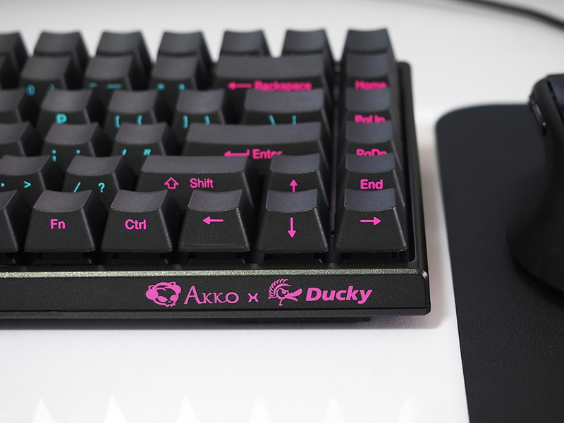 򡿶С-AKKODUCKY3084е