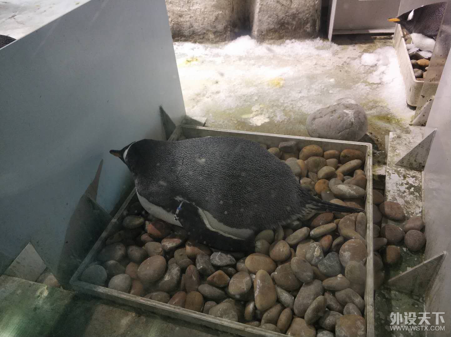 ���´���������¼�����μ�Ӯ������������