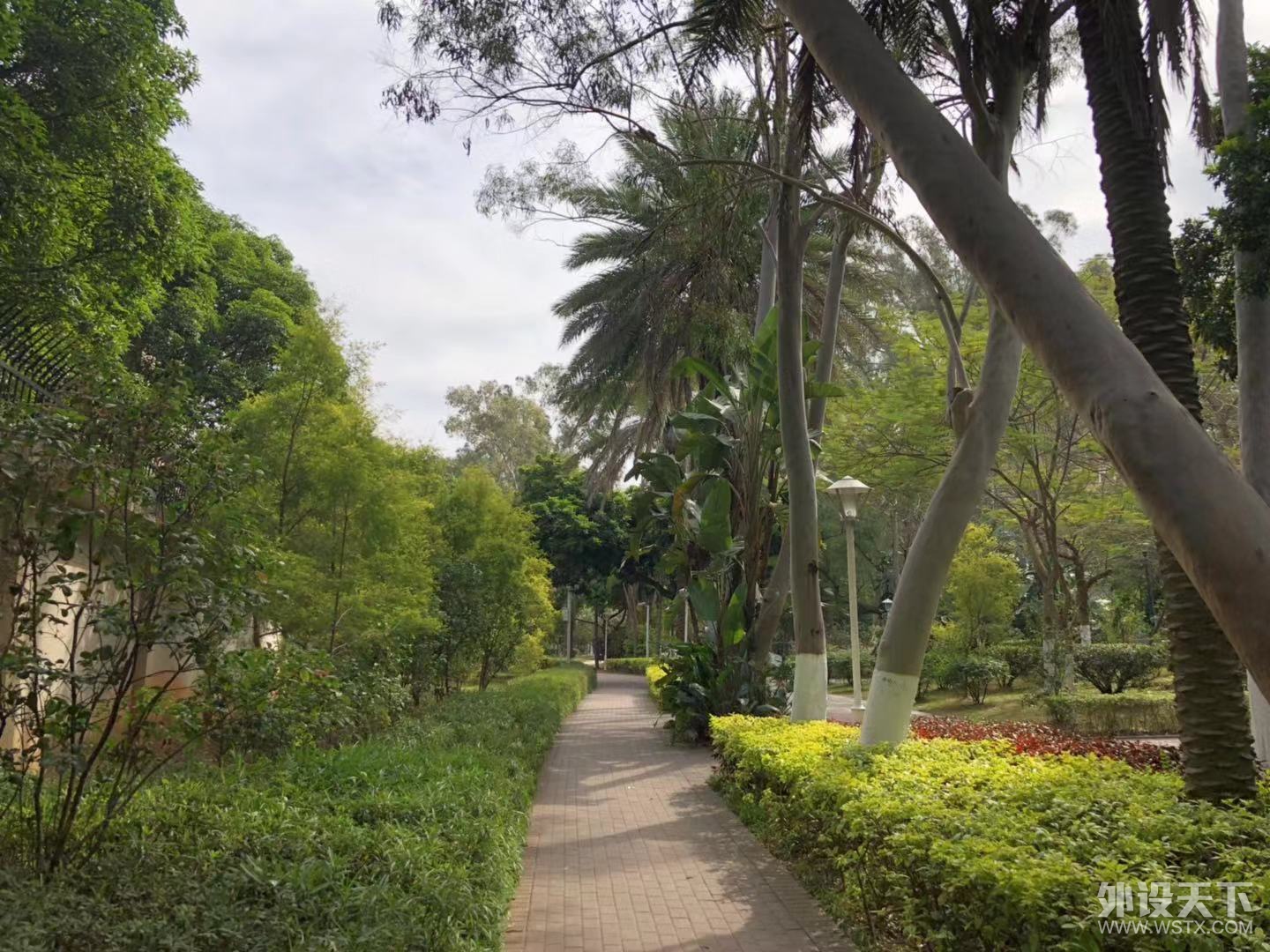 ���´���������¼�����μ�Ӯ������������