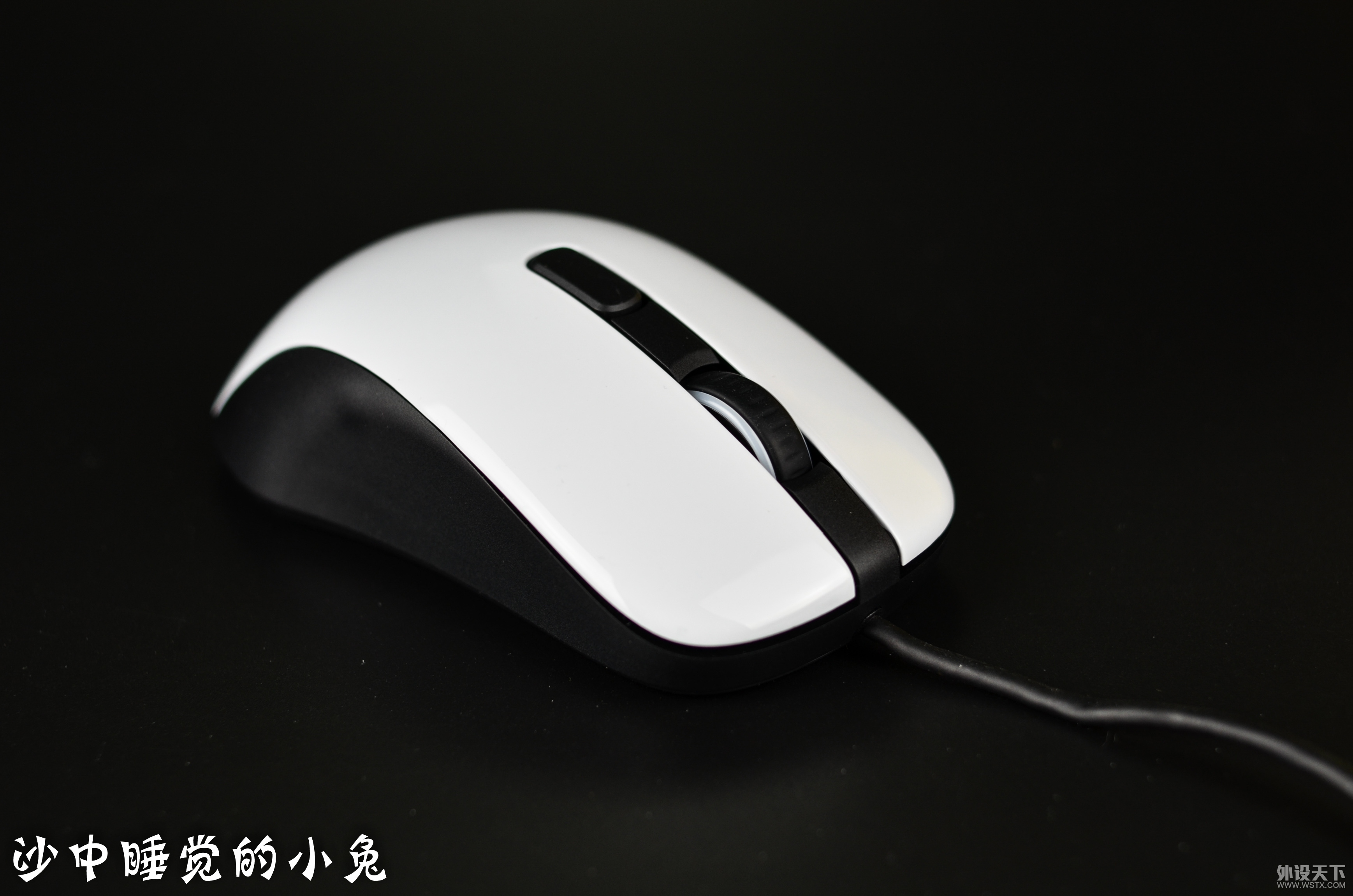 KANA̳ߣSteelSeriesRIVAL106 Ϸ꿪