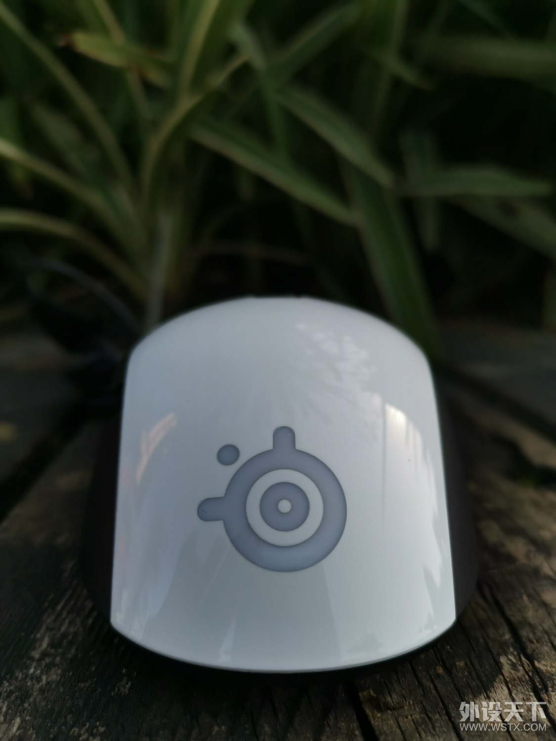 -->Rival 106