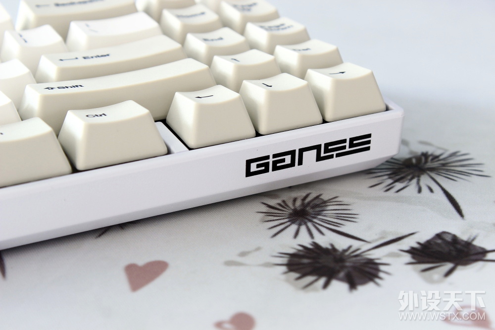 Δ[ƷGANSS ALT 71D ˫ģ