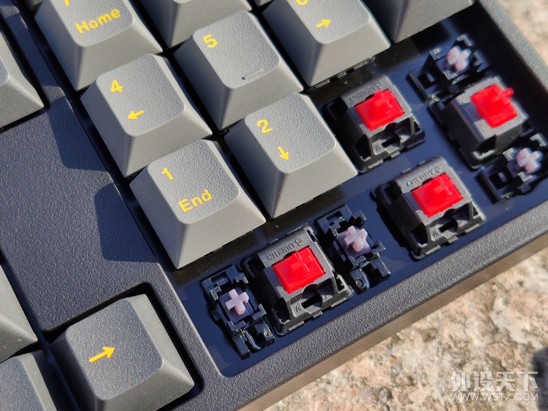 е̽̿顪leopold² FC900R PDʯī